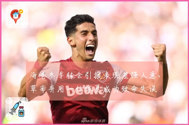 海港冬季转会引援表现差强人意，草率弃用一位球员成为致命失误
