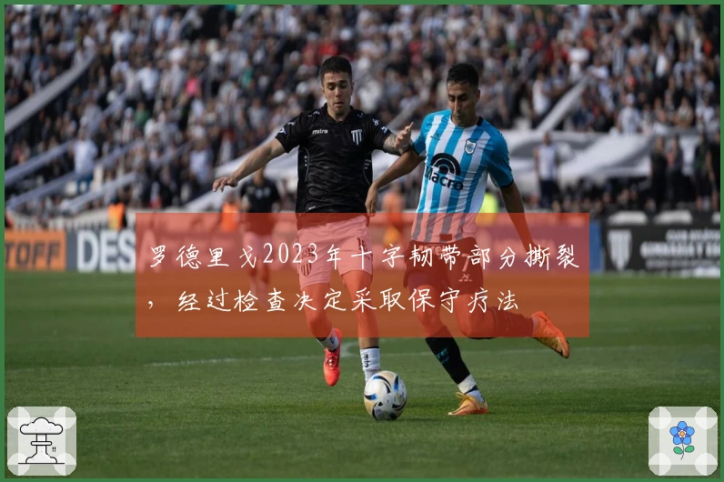 罗德里戈2023年十字韧带部分撕裂，经过检查决定采取保守疗法